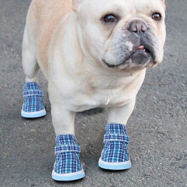 Взуття для собак: захист лап, спортивні черевики, антиковзаюча підошва для маленьких та середніх собак