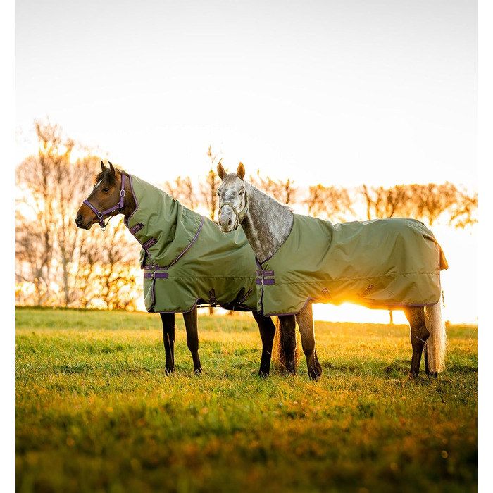 Кінська попона Horseware Amigo Hero Ripstop Plus, легка, 0 г, розмір 66, колір Bramble/Winterberry & Taupe