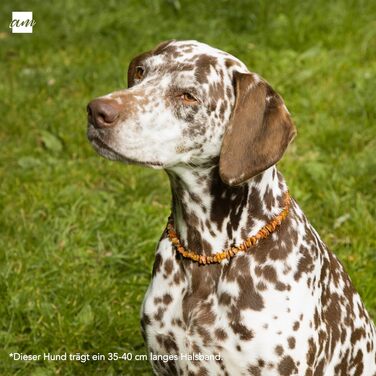 Нашийник для собак та котів Amberta Bernstein: бурштинова прикраса, 40-45 см