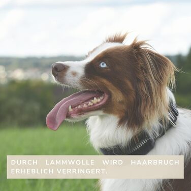 Інноваційний нашийник для собак CHRIS з ланолінової вовни, зменшує випадіння шерсті, з підкладкою, світловідбиваючий, регульований, для собак малих, середніх та великих порід, розміри M (35-45см), L (45-55см), XL (55-65см), колір антрацит