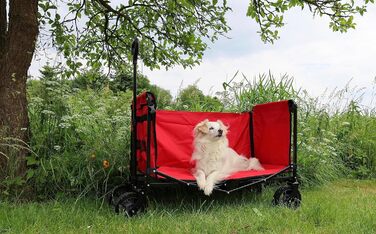 FROSAL Візок для собак Бруно сірий складний | Транспортний візок для собак з легким доступом