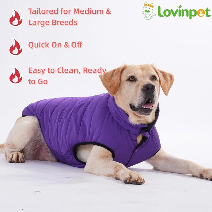 Зимова куртка для собак LovinPet, двостороння, розміри M, L, XL, з кнопками, пухова, вітронепроникна, снігонепроникна та водонепроникна, темно-зелена та сіра