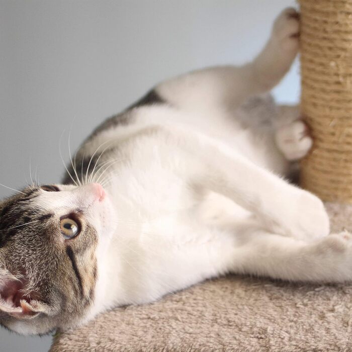 Котячий комплекс PETMAKER з 3 рівнями, 2 підвісними іграшками та 3 м'ячиками, 69,8 см, світло-коричневий