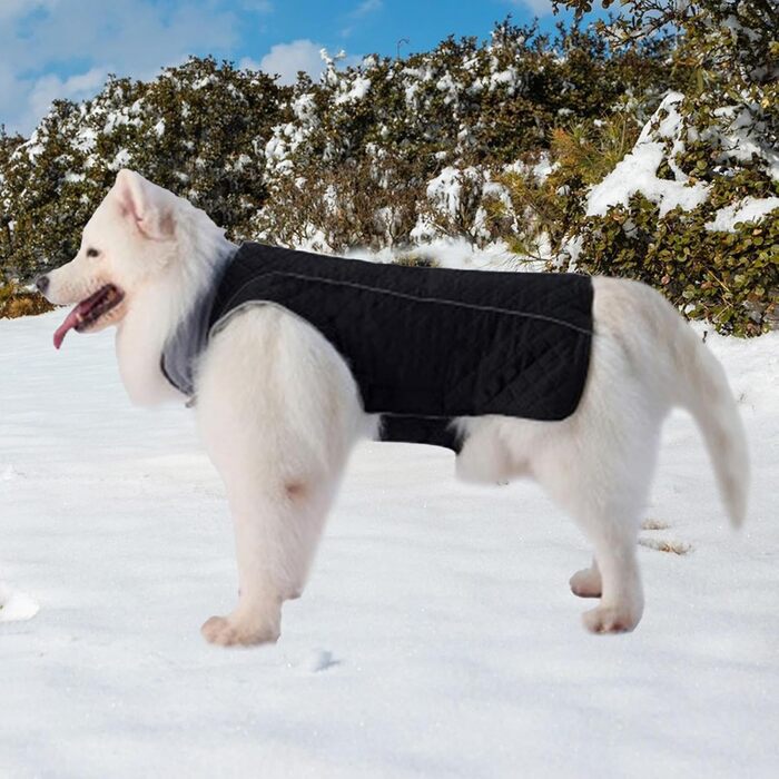 Зимовий теплий одяг для собак: куртка з коміром-стійкою, тепла ізольована верхня частина з м'яким флісом, костюм для цуценят з вітронепроникним дизайном, одяг для собак маленьких та середніх розмірів для прогулянок у холодну погоду