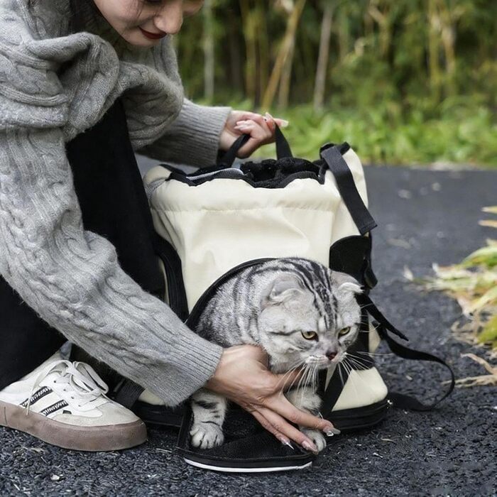 Рюкзак для собак, переноска для тварин, дихаюча, 14.96 x 8.66 x 15.75 дюймів, з регульованими ременями, зручна, з безпечним дизайном