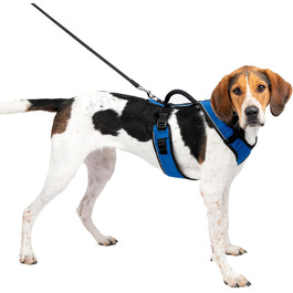 Шлея для собак PetSafe EasySport, повністю м'яка, еластичний комір, синя, розмір L, для собак 29,5-36 кг
