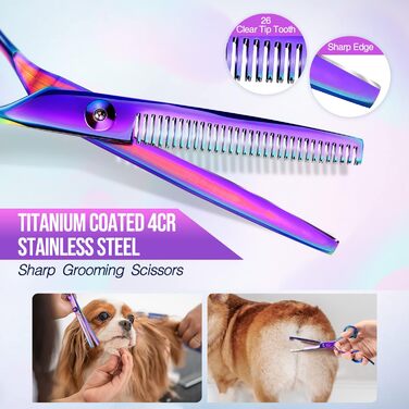 Набір професійних ножиць для грумінгу собак Gimars 4CR, 5-в-1, з титановим покриттям та безпечними закругленими кінцями