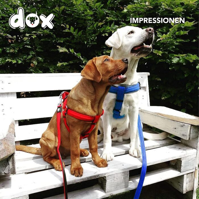 DDOXX нейлоновий шлея для собак Step-In, регульований, синій, розмір S, для цуценят і дорослих