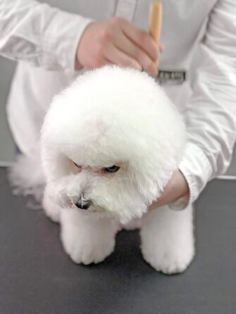 Furzone щітка для вичісування шерсті собак, M - для вичісування та догляду за шерстю, видалення ковтунів