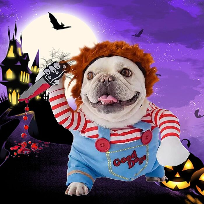 Костюм для собак 