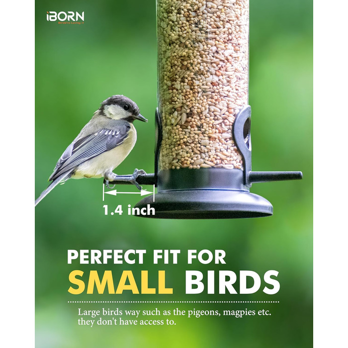 iBorn годівниця для птахів на підвіску, 2 шт. Зелена, металева, стійка до іржі, 8 дюймів