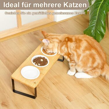 Набір мисок для котів GUUSII HOME: 6 мисок, кераміка, піднята годівниця, анти-блювотна, жовтий колір