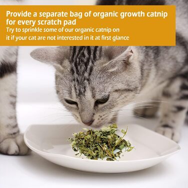 Котячий дряпка-доріжка BPS з котячою м'ятою, 43 x 21 x 4 см