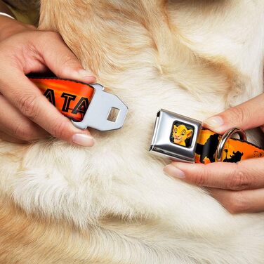 Buckle Down DYAC Simba2 нашийник для собак, застібка, міцний