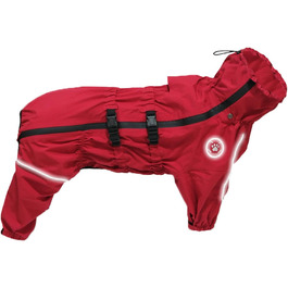 колір: гниль