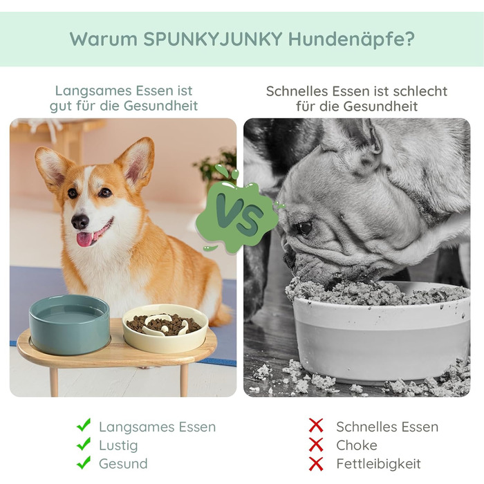 Набір керамічних мисок для собак та котів SpunkyJunky: миска проти запобігання ковтання + підставка з бамбука (Бежевий + Темно-зелений), Ø15.5 см