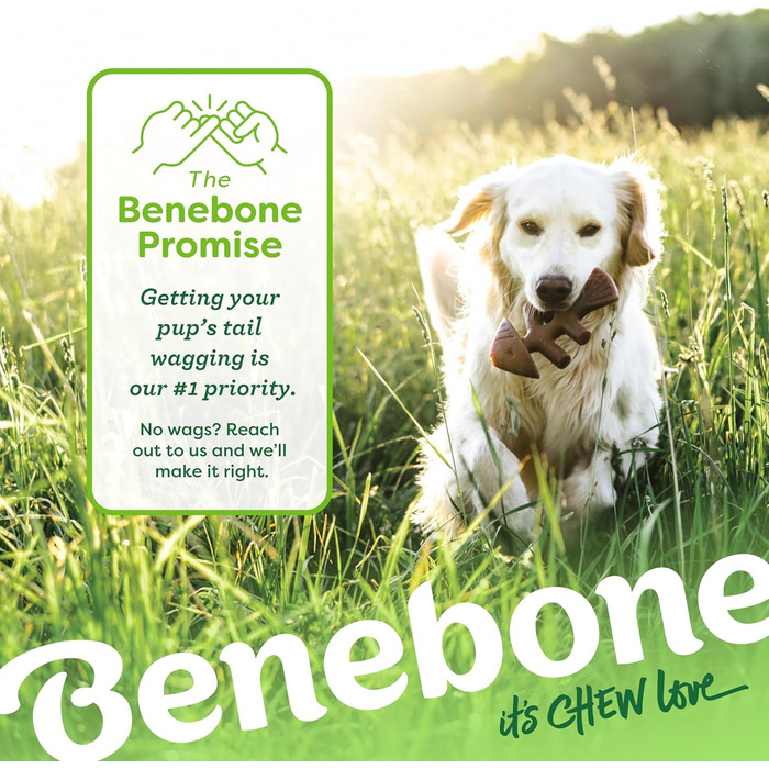 Іграшки-гризуни для собак Benebone, 2 шт, незламні, смак лосося та бекону, для великих порід, виготовлені у США