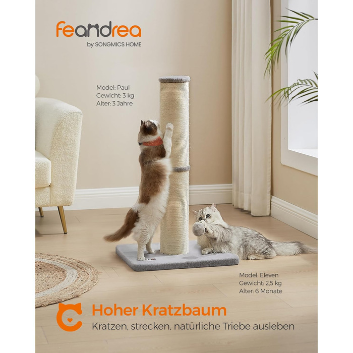 Feandrea Когтеточка-стовп для котів, 85 см, сизаль, з плюшевим м'ячиком і дзвіночком, для середніх і великих котів, товщина стовпа 13 см, голубо-сірий