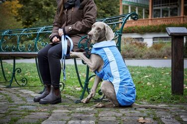Вольтерс Dogzwear: Куртка для собак, зимова, водонепроникна, блакитна