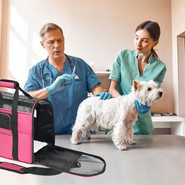 Транспортна сумка для котів та собак Zavothy, рожева, розмір M, з м'яким матрацом та регульованим ременем