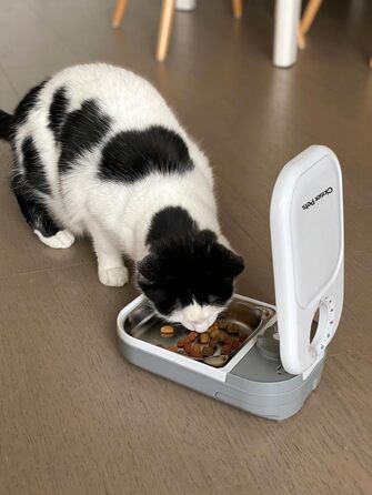 Автоматична годівниця Closer Pets C100 для котів і маленьких собак з мискою з нержавіючої сталі