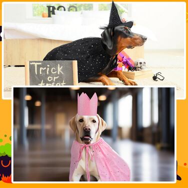 Костюм відьми на Хелловін для котів та собак, комплект з 4 частин: шапка, накидка, корона та аксесуари