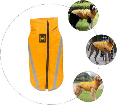 Теплий зимовий одяг для собак: куртка, плащ для прогулянок та відпочинку | iBasenice