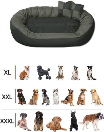 BedDog® Hundebett Sunny: велике овально-кругле лежанка для собак з Cordura, XXXL, RED-WINE (червоний), 150 x 120 x 23 см