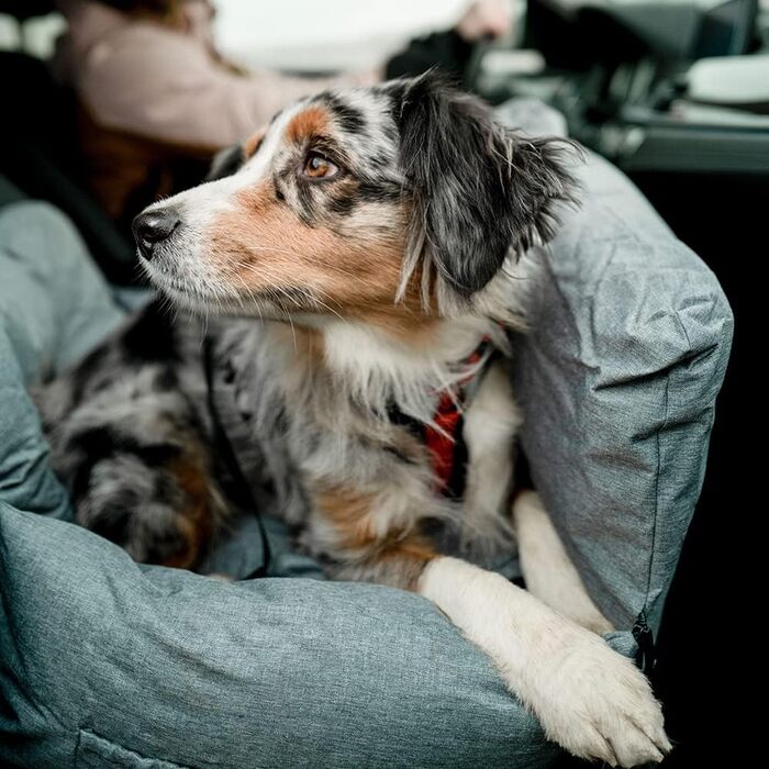 Дитяче туристичне ліжко Nobby Bena світло-сірого кольору 60 x 50 x 43 см