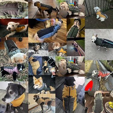 Зимовий теплий водонепроникний теплий одяг для собак Poseca: куртка, жилет, одяг для собак, шлейка, куртка з відбиваючими елементами, еластичний одяг для собак (XS, блакитний)