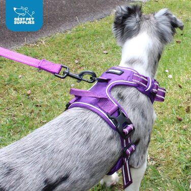 Регульована шлейка для собак Voyager Von Best Pet Supplies з 3M відбивачем, подвійним кріпленням, не тягне, фіолетова