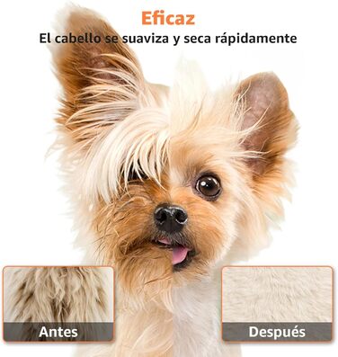 XKISS Професійний набір для грумінгу собак 2800W з пилососом для шерсті, фен для собак, машинка для стрижки собак, видалення шерсті (зелений)