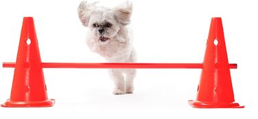 Набір для координації Bramble 18 шт. з сумкою - конуси та штанги для футболу, спорту, тренувань (діти, дорослі, собаки)