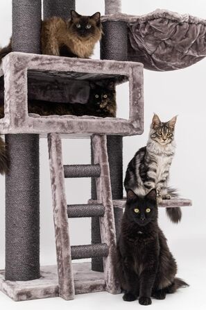 Дряпак для котів Petrebels Parklane 175 см, преміум, з XXL гамаком, спальним будиночком, диваном, товсті стовпи, кольору капучино