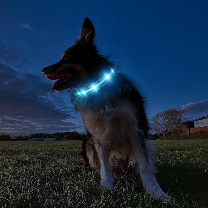 Світлодіодне нашийник для собак Masbrill з підзарядкою, 7 кольорів RGB, 8 режимів свічення, регульований, водонепроникний, для собак малого, середнього та великого розміру, чорний, розмір M