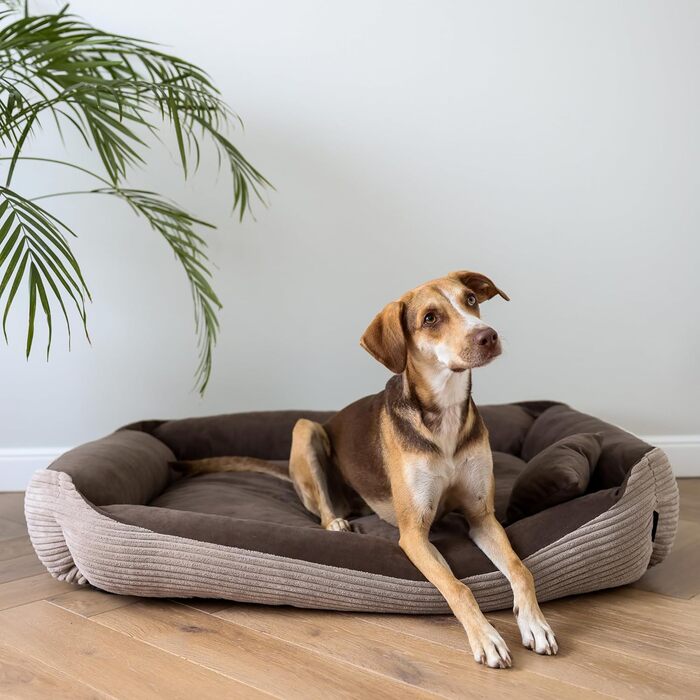 Ліжко для собак 4L Textil Molly великих порід, корд, коричневе (120x100 см)