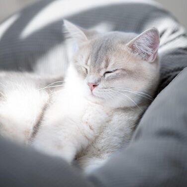 Кішка лежанка CheerPals, велика, 55x55 см, м'яка, сіра, для сну, стильна