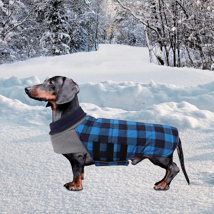 Теплий водонепроникний зимовий одяг для собак (Такса) - блакитний, розмір L, в клітинку