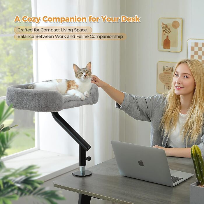 PAWZ Road: Крісло-лежанка для котів, дерев'яне, 360° обертання, регульована висота, котяча гаманець, сірий овал, до 23 кг