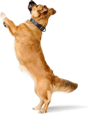 Шолом Hunter Hasband Madon рожевий, сітка, міцний нейлон, гіпоалергенний, регулювання, адресна панель, розмір M