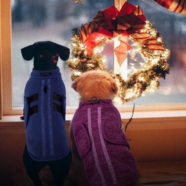 Теплий зимовий пуловер/мандель для собак Queenmore з флісу, для дрібних порід (Чихуахуа, Такса, Бульдог), колір: фіолетовий