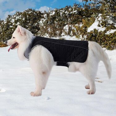 Зимовий теплий одяг для собак: куртка з коміром-стійкою, тепла ізольована верхня частина з м'яким флісом, костюм для цуценят з вітронепроникним дизайном, одяг для собак маленьких та середніх розмірів для прогулянок у холодну погоду