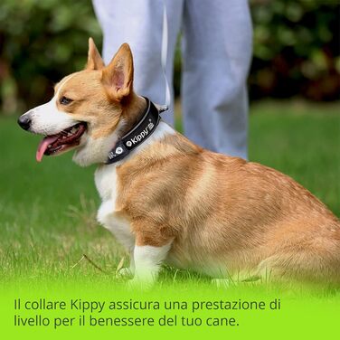 Нашийник для собак Кіппі EVO з GPS-кишенею, світловідбиваючим елементом, розмір S. М'який, зручний, водонепроникний нашийник для маленьких собак