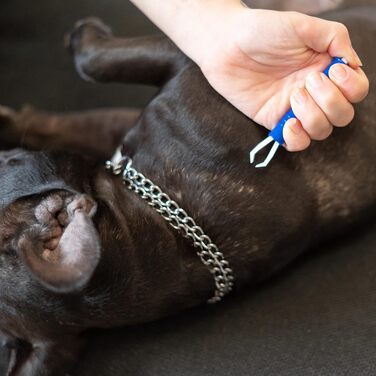 Набір для видалення ковтунів: щітка для собак/котів, XL роликовий збирач ворсу, щипці для видалення кліщів, інструмент для видалення ковтунів для всіх порід, видалення шерсті тварин