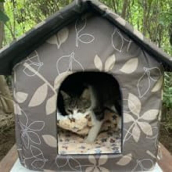 Кіт Будинок для Зовні, Зимостійкий, Водонепроникний, для Вуличних Кішок, 38x35x40см, Камуфляж