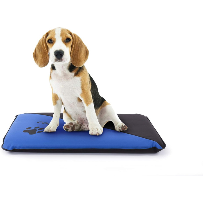 Водонепроникна лежанка для собак, миється, підходить для великих, середніх та маленьких собак, для дому та вулиці, міцна, блакитна (S, 75x50x6 см)