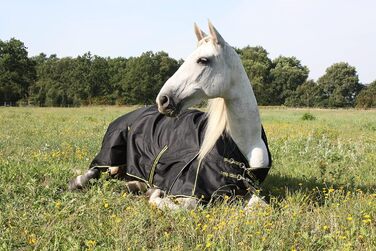Зимова термоковдра для коня time4horses, високий комір, 200 г, 1200 ден, 125 см, водонепроникна аутдор ковдра