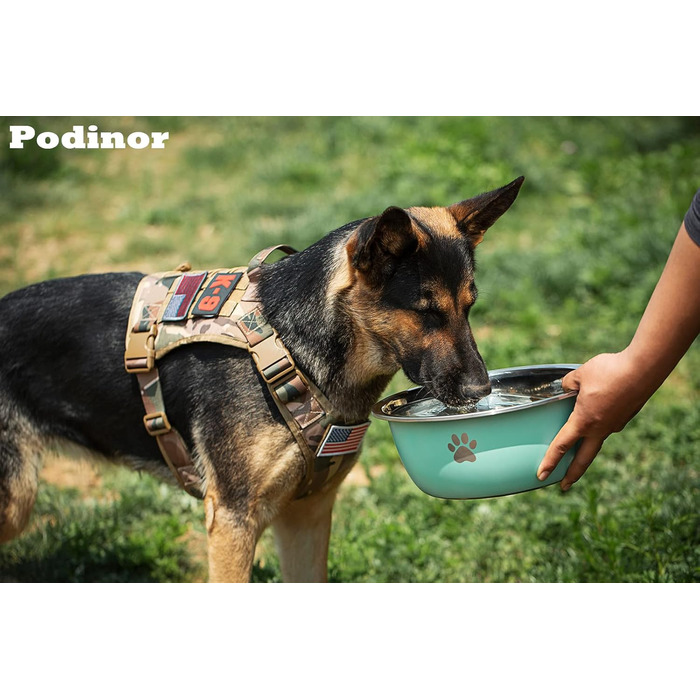 Podinor Велика миска для води для собак, 4,8 л, нержавіюча сталь, чорна, 2 шт, для великих порід