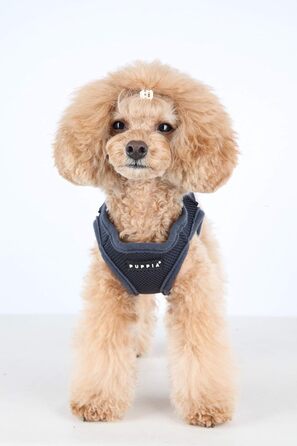 Шлейка для собак Puppia для малих та середніх порід - м'яка жилетка в багатьох кольорах. Можна використовувати як шлейку для цуценят. Антиріз шлейка для собак, сіра, розмір M, сірий колір