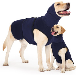 колір: морський